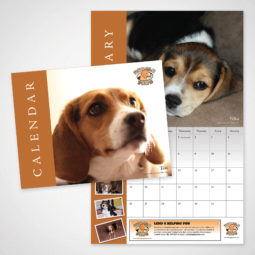 Beagle Paws 2013 Calendar Design