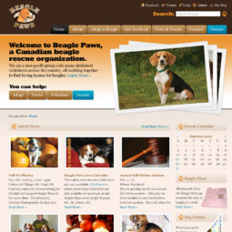 Beagle Paws Website Design and Development - Home