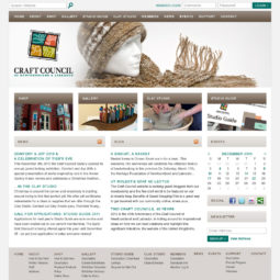 Craft Council Website Design - Home