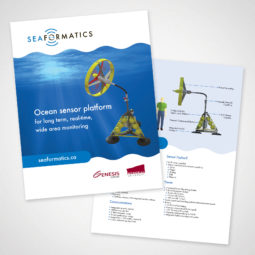 Seaformatics Flyer Design