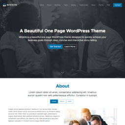 Minisite Pro WordPress Theme Design and Development - Home
