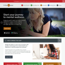 Bridge the gApp Adult Website Design and Development – Home