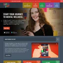 Bridge the gApp Youth Website Design and Development – Home