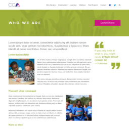 Community Centre Alliance Website Design and Development - Sub page