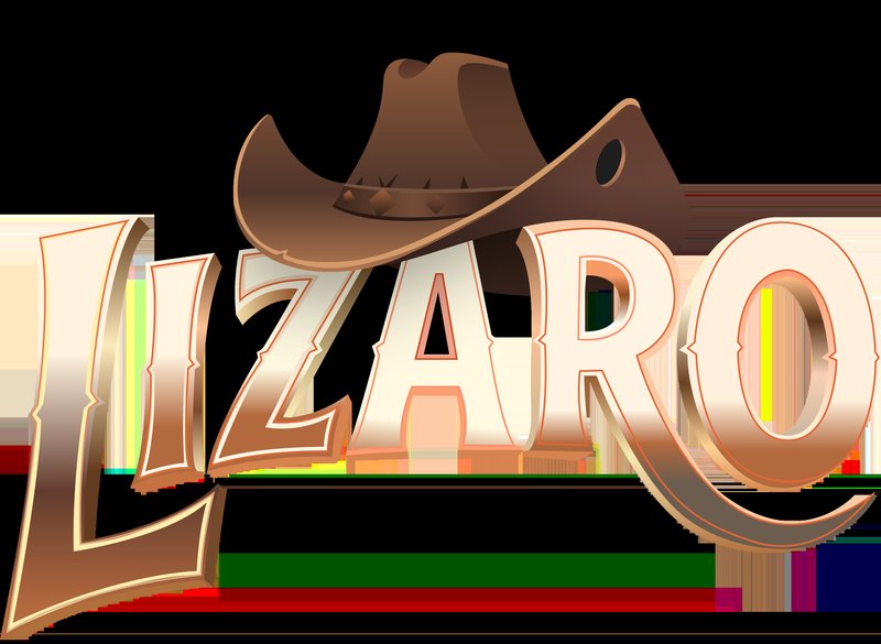 Introduction to lizaro
